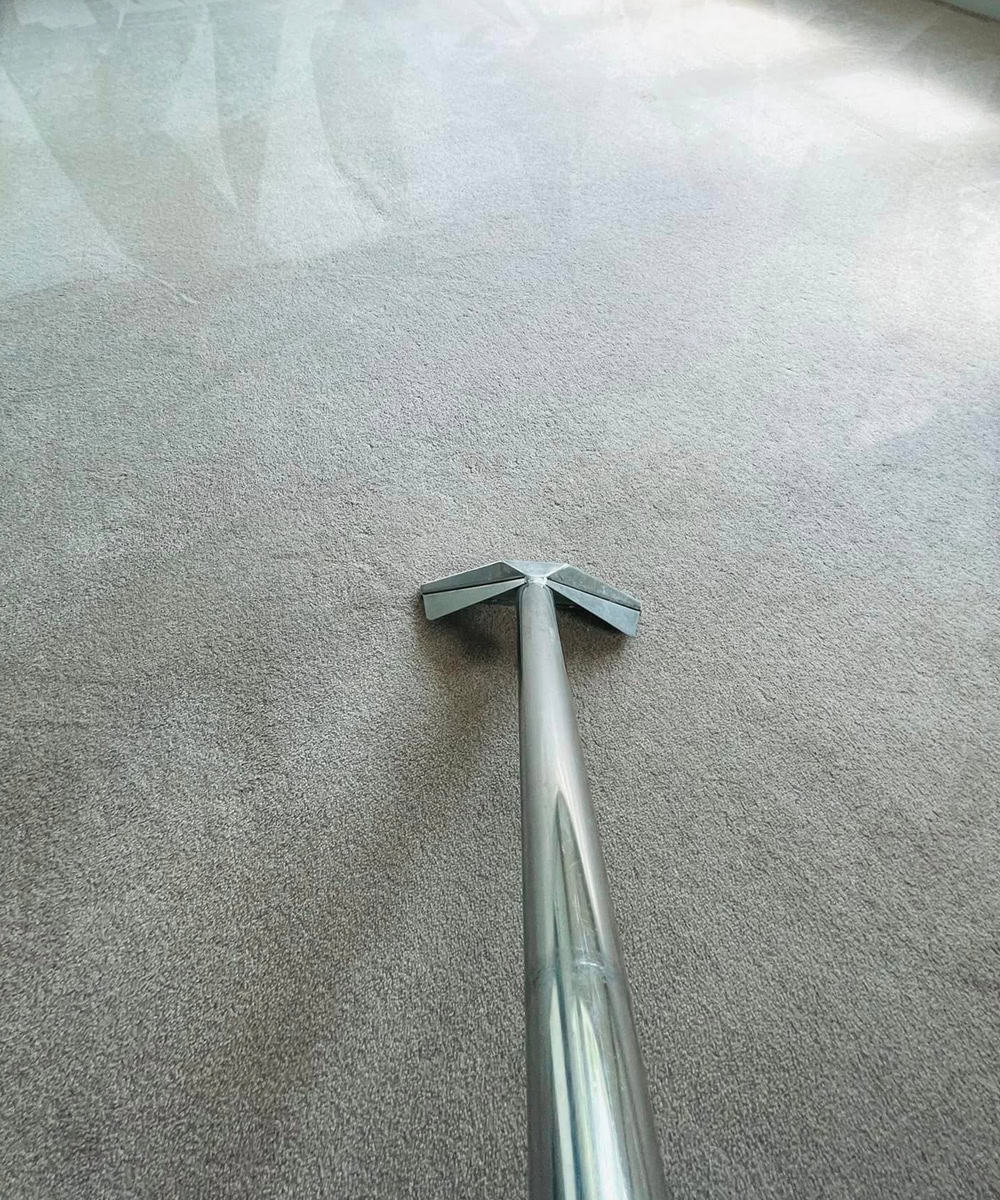 Carept cleaning Bisley Surrey