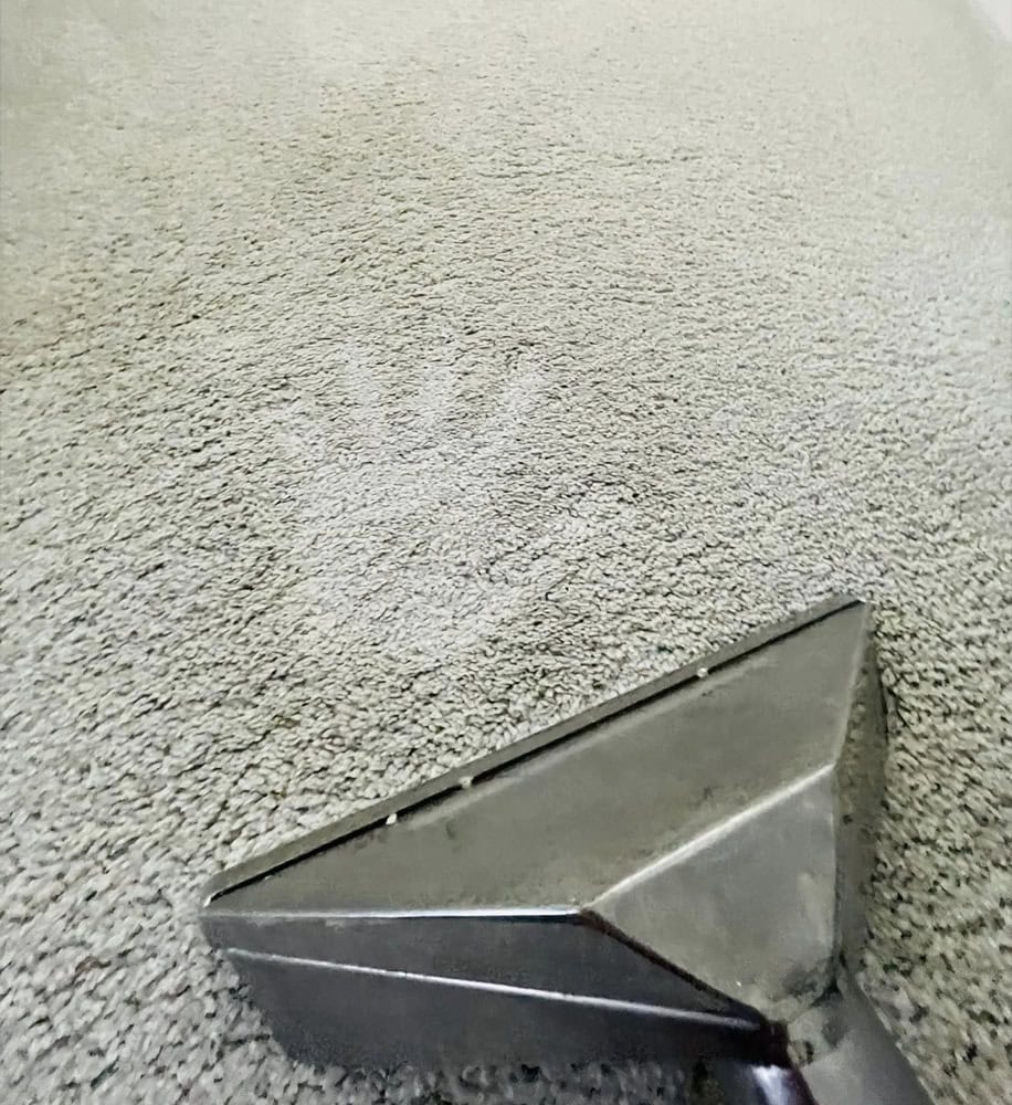 Clean and Gleam professional carpet cleaning Woking